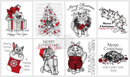  Vector set of 8 posters with Christmas cats.  Siamese lop-eared, tabby, British, fluffy. In a Christmas tree, with Christmas decorations, in a gift box, wrapped in a garland, in a Christmas stocking