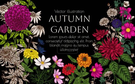 Illustration for Vector frame from autumn garden. Dahlia, cosmos, zinnia, calendula, rudbeckia, chrysanthemum - Royalty Free Image
