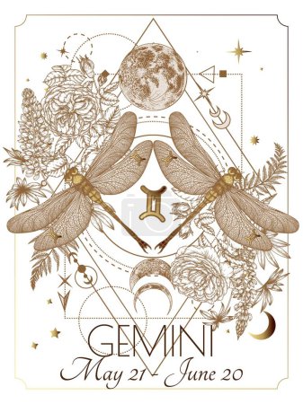 Illustration for Vector illustration of zodiac signs in flowers. Gemini dragonflies in white and gold colors in engraving style - Royalty Free Image