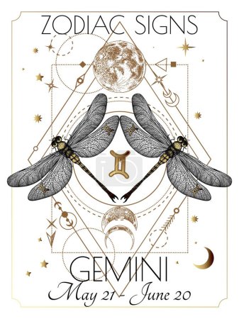 Illustration for Vector illustration of zodiac signs. Gemini dragonflies in white and gold flowers in engraving style - Royalty Free Image