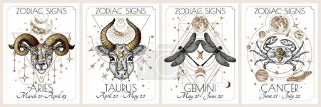 Illustration for Vector set of the 4 first zodiac signs. Gold on a white background. Aries, Taurus, Gemini, Cancer - Royalty Free Image
