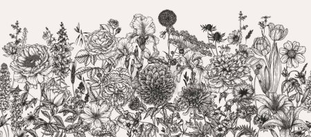 Illustration for Seamless horizontal vector pattern garden flowers. Peonies, roses, tulips, lilies, dahlias, bells, cornflowers, irises, lupins, periwinkle, chicory, chrysanthemum, cosmos - Royalty Free Image