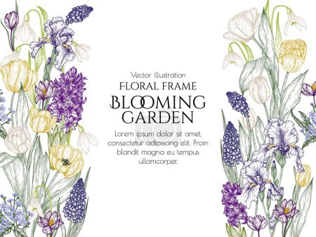 Illustration for Vector illustration of spring flowers. Snowdrops, crocuses, brunnera, tulips, muscari, hyacinths, irises in engraving style - Royalty Free Image