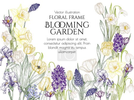 Illustration for Vector illustration of spring flowers. Snowdrops, crocuses, brunnera, tulips, muscari, hyacinths, irises, daffodil in engraving style - Royalty Free Image