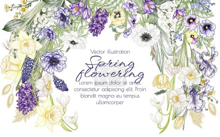 Illustration for Vector illustration of spring flowers. Snowdrops, crocuses, brunnera, tulips, muscari, hyacinths, irises, daffodil, pansies, lily of the valley, anemone - Royalty Free Image