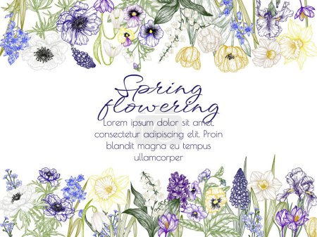  Vector illustration of spring flowers. Snowdrops, crocuses, brunnera, tulips, muscari, hyacinths, irises, daffodil, pansies, lily of the valley, anemone, scilla 