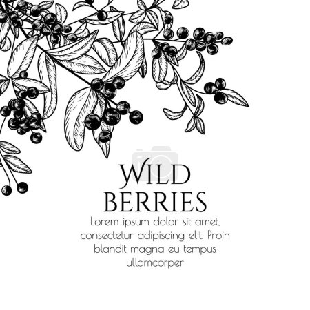  Vector illustration of a branch of wild berries in engraving style