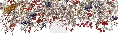  Seamless horizontal pattern of forest berries. Cornus sanguinea, sea buckthorn, rose hips, ligustrum, hawthorn, elderberry, paris quadrifolia, lily of the valley berries, euonymus