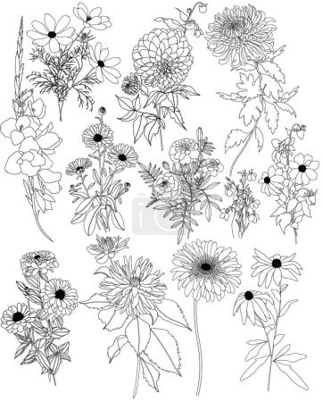 Ilustración de Conjunto vectorial de 12 flores de otoño. Dalia, cosmos, zinnia, caléndula, caléndula, rudbeckia, gladiolo, datura, eringio, alium, crisantemo, lobelia - Imagen libre de derechos