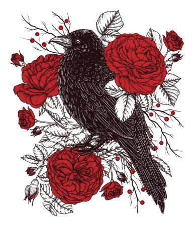  Vector illustration of crows in red roses and berries in engraving style