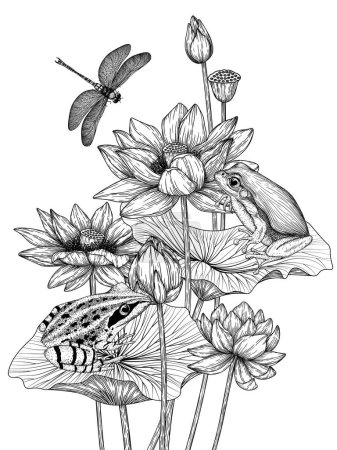 Ilustración de Ilustración vectorial de flores de loto con ranas y libélula en estilo grabado - Imagen libre de derechos