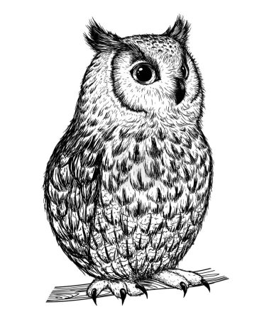  Vector illustration of a cute owl sitting on a branch in engraving style