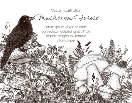  Vector illustration of mushroom forest and raven. Fly agaric, porcini mushroom, berries, flowers, forest plants in engraving style