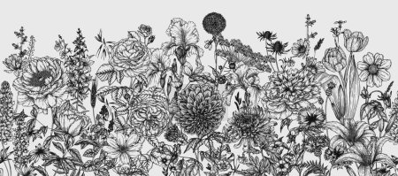  Seamless horizontal vector pattern garden flowers. Peonies, roses, tulips, lilies, dahlias, bells, cornflowers, irises, lupins, periwinkle, chicory, chrysanthemum, cosmos