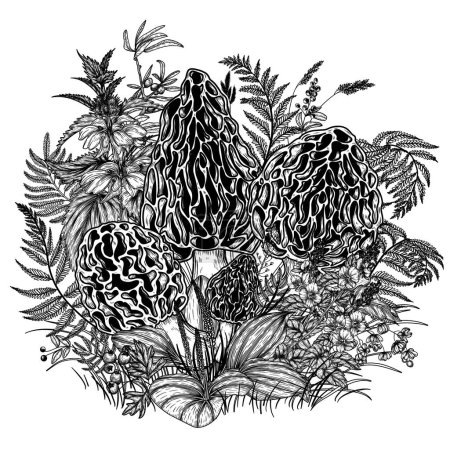  Illustration vectorielle de champignons moreli entourés de plantes forestières en style gravure
