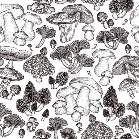 Seamless vector pattern of forest mushrooms.  Chanterelles, porcini mushroom, honey mushrooms, fly agaric, morel, bamboo mushroom