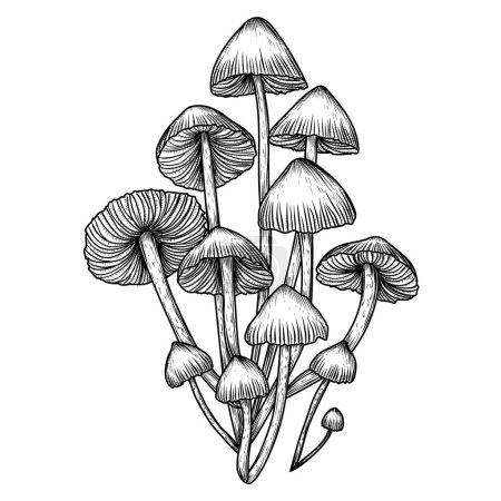 Ilustración de Ilustración vectorial hongo capó común en estilo grabado - Imagen libre de derechos