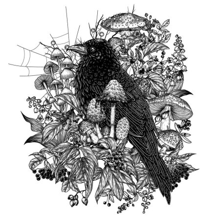  Illustration vectorielle d'un corbeau mystique entouré de baies sauvages, fleurs, champignons, toiles d'araignée en style gravure