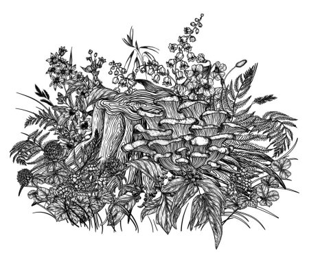  Illustration vectorielle de champignons huîtres sur une souche entourée de fleurs, de plantes et de baies forestières en style gravure