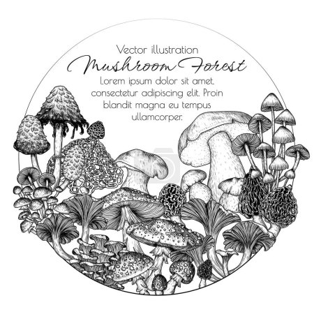  Vector frame of forest mushrooms. Fly agaric, porcini mushroom, chanterelles, honey mushrooms, morel, bamboo, common bonnet , Coprinus comatus, oyster mushrooms