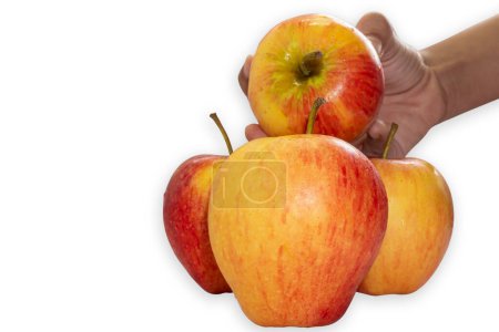 Foto de Una manzana recogiendo de un montón de manzanas, Copiar espacio, Aislado en el fondo blanco - Imagen libre de derechos