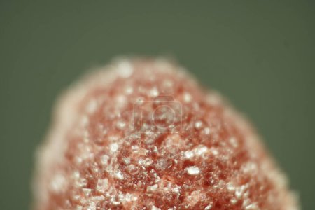Close-up view of Sugar crystals sprinkled on red gumdrop jelly soft candy in selective focus isolated on dark green background