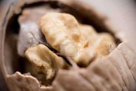 Macro Beauty: Cracked Walnut Revealing Delicate Essbare Samen, Erleben Sie die rohe Schönheit der Natur mit diesem Makro-Shot einer geknackten Walnuss. Die robuste Außenhülle öffnet sich, um eine zarte