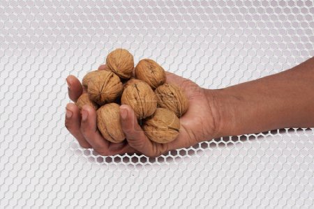 Handheld Fresh Walnuts: A Symbol of Natural Nutrition, An image capturing a hand presenting a collection of fresh, uncracked walnuts. The textured surfaces of the walnuts indicate their natural state