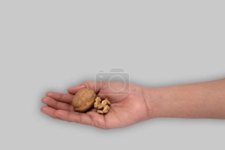 Nature's Bounty: Hand Holding Whole and Cracked Walnuts, An image showcasing a hand holding a whole walnut and its cracked counterpart. The neutral background emphasizes the walnuts, symbolizing