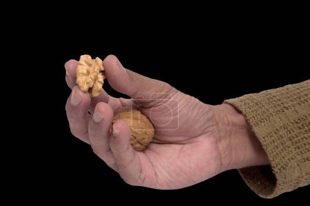 Revealing Nature Secret: Cracking open a fresh walnut by hand, An image captures the moment a hand skillfully cracks a walnut. The contrast between the hard outer shell and the delicate, kernel inside