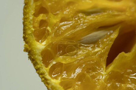 Sunlit Citrus Symphony: A Macro Exploration of an Orange Slice, Esta imagen macro revela la intrincada belleza de una rebanada de naranja. La célula translúcida, jugosa, las semillas lisas, beige, y la textura