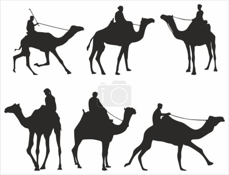 Illustration for Vector set of silhouettes of single humped camels with riders, Bedouins. Shadows Large mammal animal. Ship of the desert, steppe. - Royalty Free Image