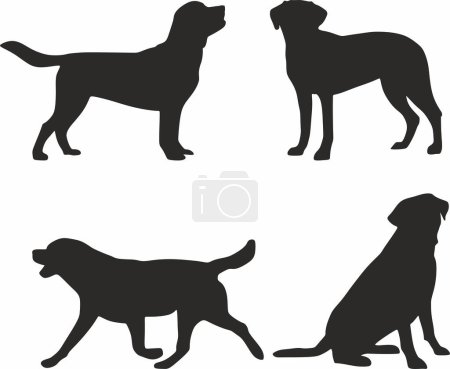 Illustration for Vector set of labrador dog silhouettes. Shadows of pets, mammal - Royalty Free Image