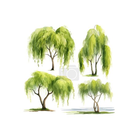 Illustration for Watercolor willow tree clipart for graphic resources - Royalty Free Image