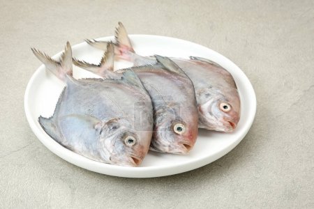 Ikan Dorang or Ikan Bawal Putih, food preparation
