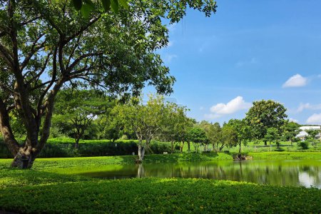 Hermosa vista al lago desde un pequeño lago en Indonesia, con árboles verdes y cielo azul 