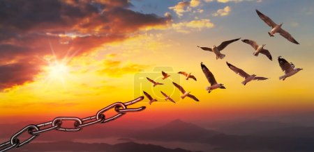 Foto de Concepto del Día Mundial de la Libertad, aves volando y cadenas rotas en el cielo fondo del atardecer - Imagen libre de derechos
