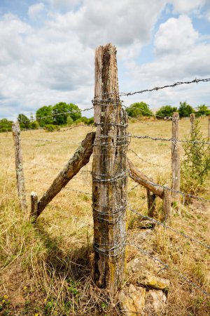 Alambre de púas envuelto alrededor de un poste de valla de antiguos postes de madera