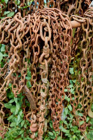 Tangle of Hanging Rusty Chains