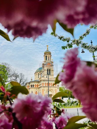 Alexander Nevsky Cathedral framed by blooming sakura and cherry blossoms, Lodz, Poland