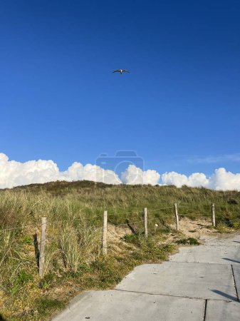 Vista de un hermoso paisaje con una playa y un cielo nublado, den Hague, Países Bajos 
