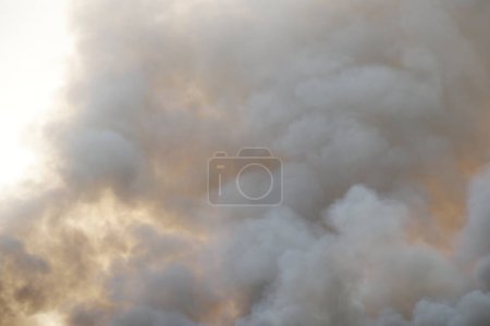 Photo for White smoke pattern, red raging flame of fire burn in grass fields, forests and black and white smoke to sky. Big wildfire close-up. pollution in air concept. wildfire make to smoke bush pollution in world. - Royalty Free Image