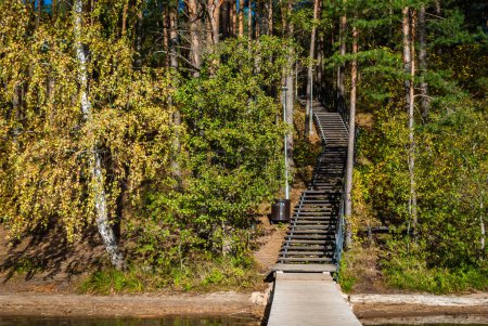 Foto de Escalera de madera en medio del bosque en la orilla del lago jalá Lakajai en el Parque Regional de Labanoras, Lituania. - Imagen libre de derechos