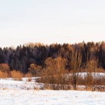 Landscape of a winter forest at sunset in Kernave, Lithuania.