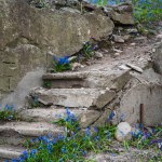 Stone staircase at the Bernardine Cemetery in Vilnius among the flowering forests