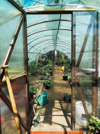 Photo for Flower seedlings, watering cans and garden tools through the open door of the greenhouse. - Royalty Free Image