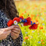 A long-haired curly woman weaves a wreath of wildflowers, poppies, daisies and cornflowers.