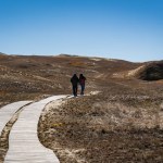 A couple in the distance walks along a wooden footpath on the Dead Dunes, or Grey Dunes, Curonian Spit, Neringa, Lithuania.