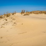 The Gray Dunes, or the Dead Dunes is sandy hills with a bit of green specks at the Lithuanian side of the Curonian Spit.