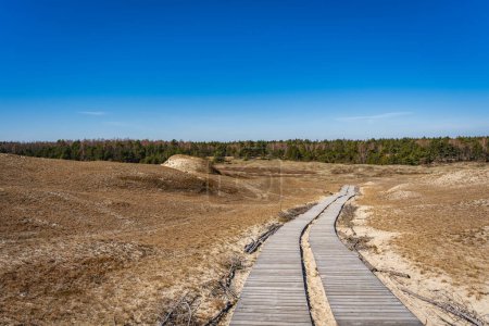 Foto de Sendero de madera en las dunas muertas, o dunas grises, saliva curónica, Neringa, Lituania. - Imagen libre de derechos